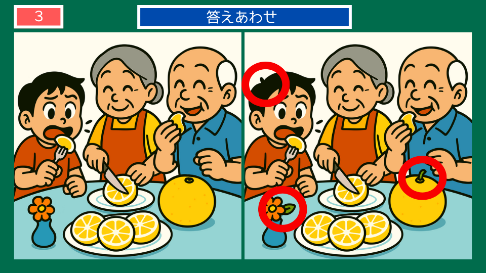 間違い探しクイズ｜宮崎特産の日向夏の答えイラスト