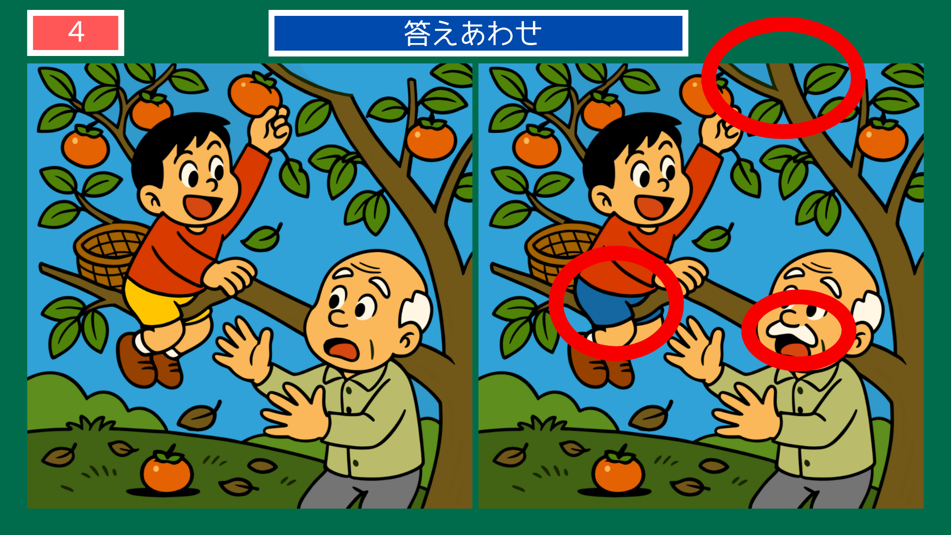 間違い探しクイズ答え|柿の木で果物を収穫する男の子の答えイラスト