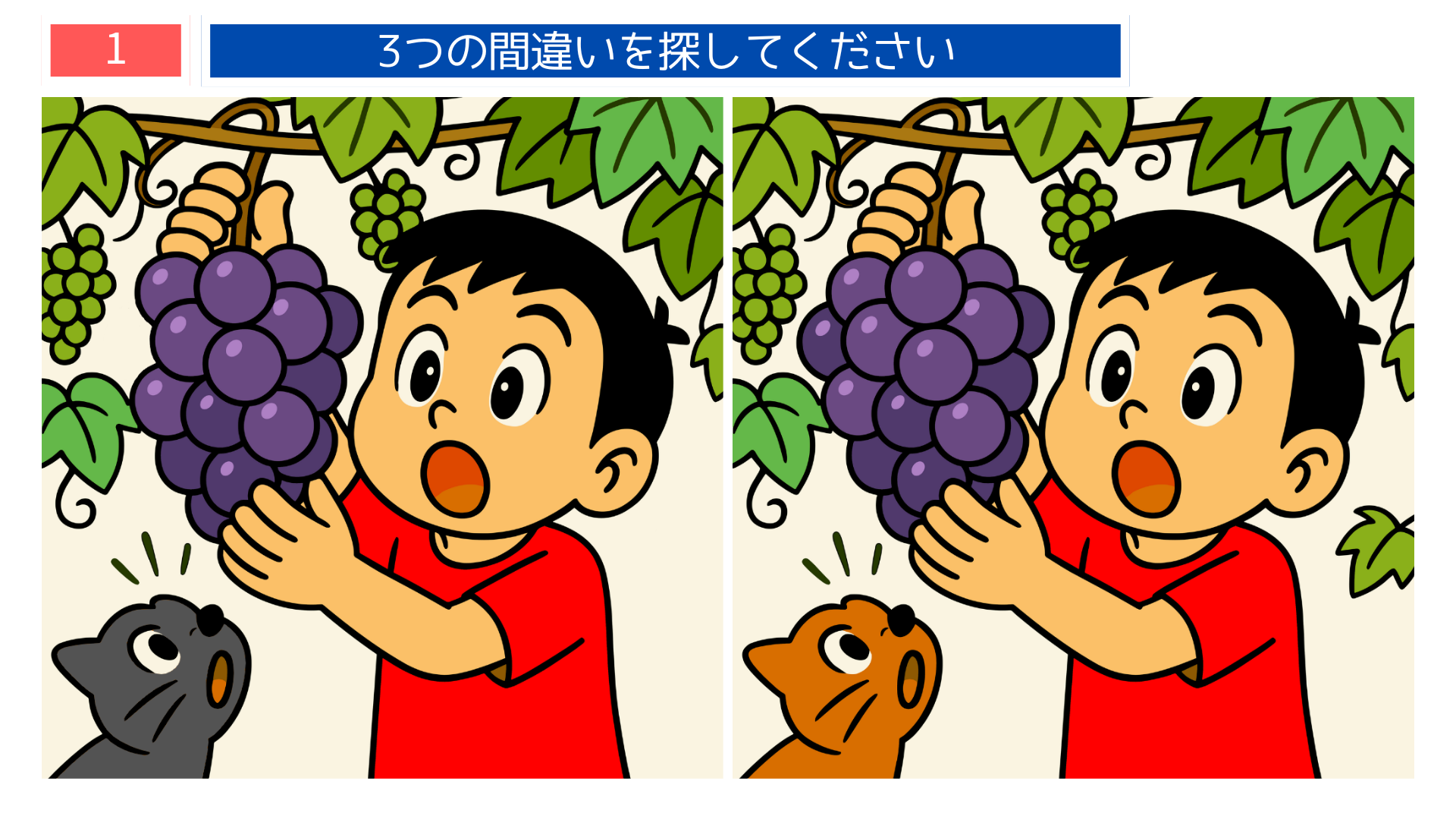 間違い探しクイズ｜ぶどうを取ろうとする男の子と猫のイラスト