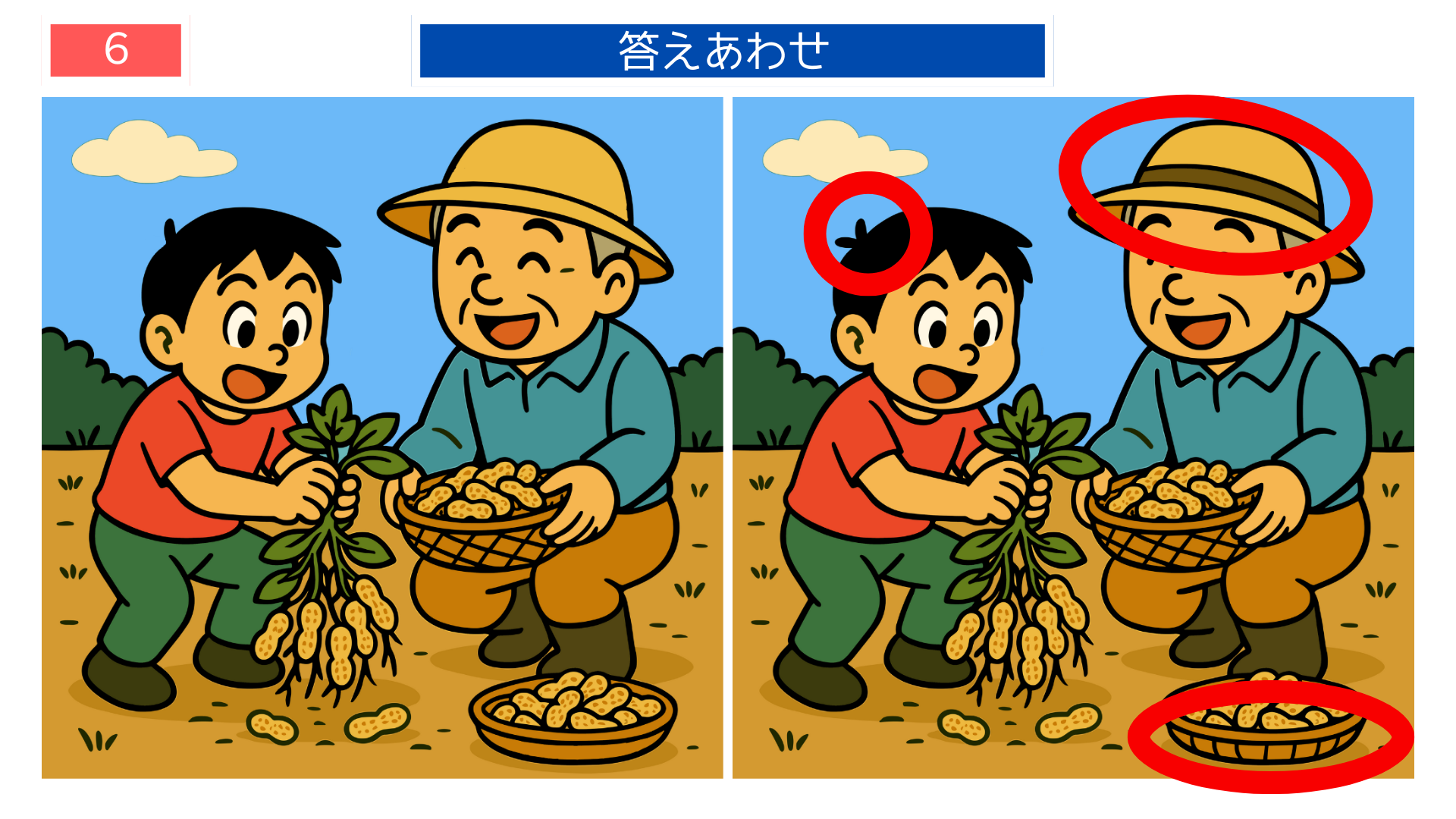 間違い探しクイズ｜落花生を掘り上げる子どもと祖父の答えイラスト