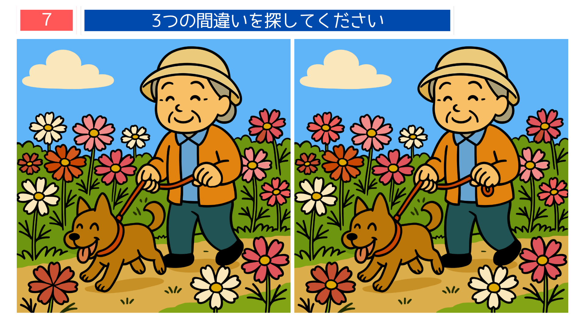 間違い探しクイズ｜コスモス畑を犬と散歩するシニアのイラスト