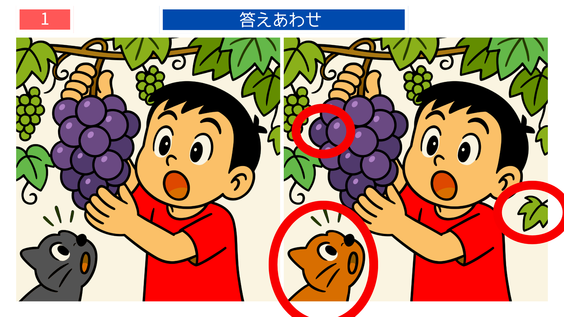 間違い探しクイズ｜ぶどうを取ろうとする男の子と猫の答えイラスト