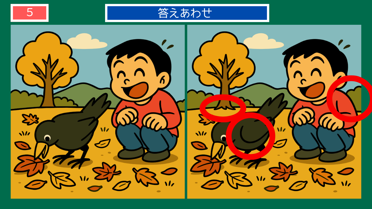 間違い探しクイズ|秋の落ち葉とカラスを見つめる男の子の答えイラスト