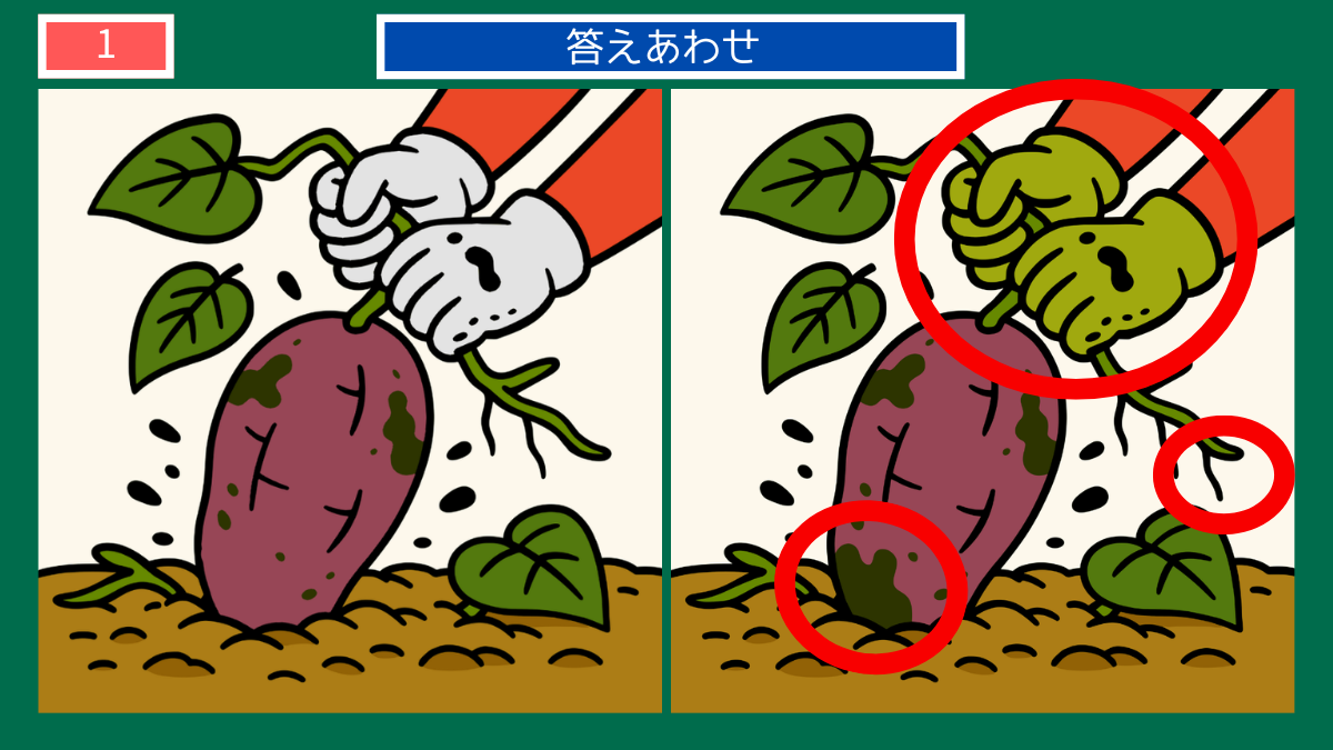 間違い探しクイズ|畑でさつまいもを引き抜く手元の答えイラスト