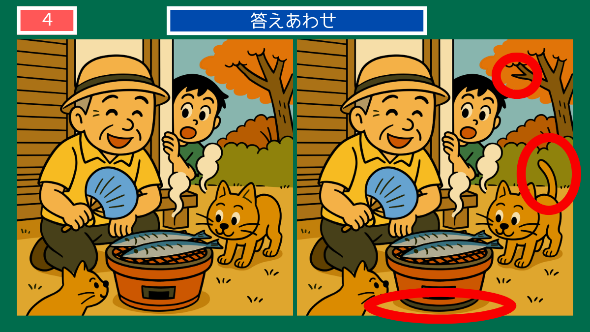 間違い探しクイズ|七輪でさんまを焼くおじいさんと猫の答えイラスト