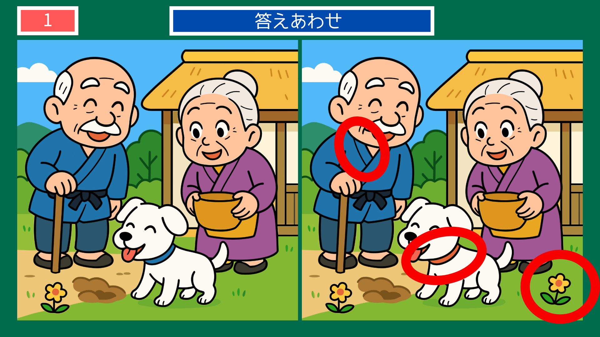 間違い探しクイズ｜犬と仲良くする老夫婦の庭先の答えイラスト