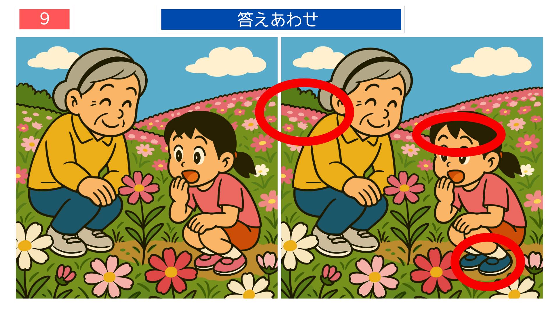 間違い探しクイズ|コスモス畑で孫娘と話すおばあちゃんの答えイラスト