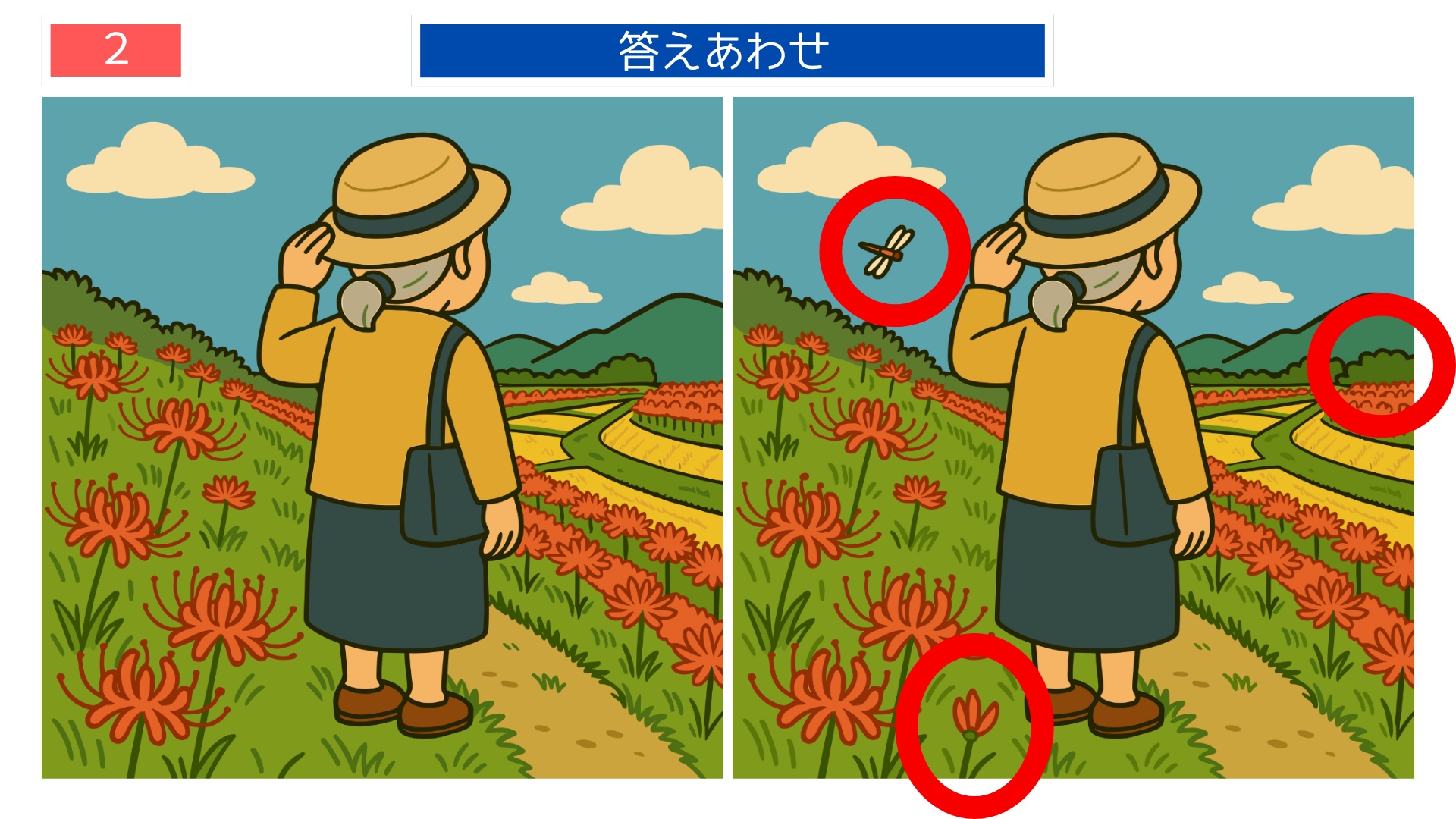間違い探しクイズ|彼岸花が咲く田んぼ道を歩く女性の答えイラスト