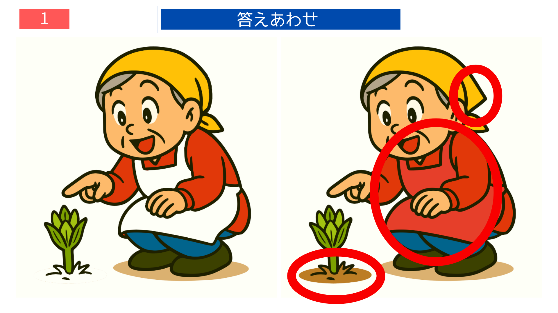 間違い探しクイズ|芽を見つけて喜ぶおばあちゃんの答えイラスト