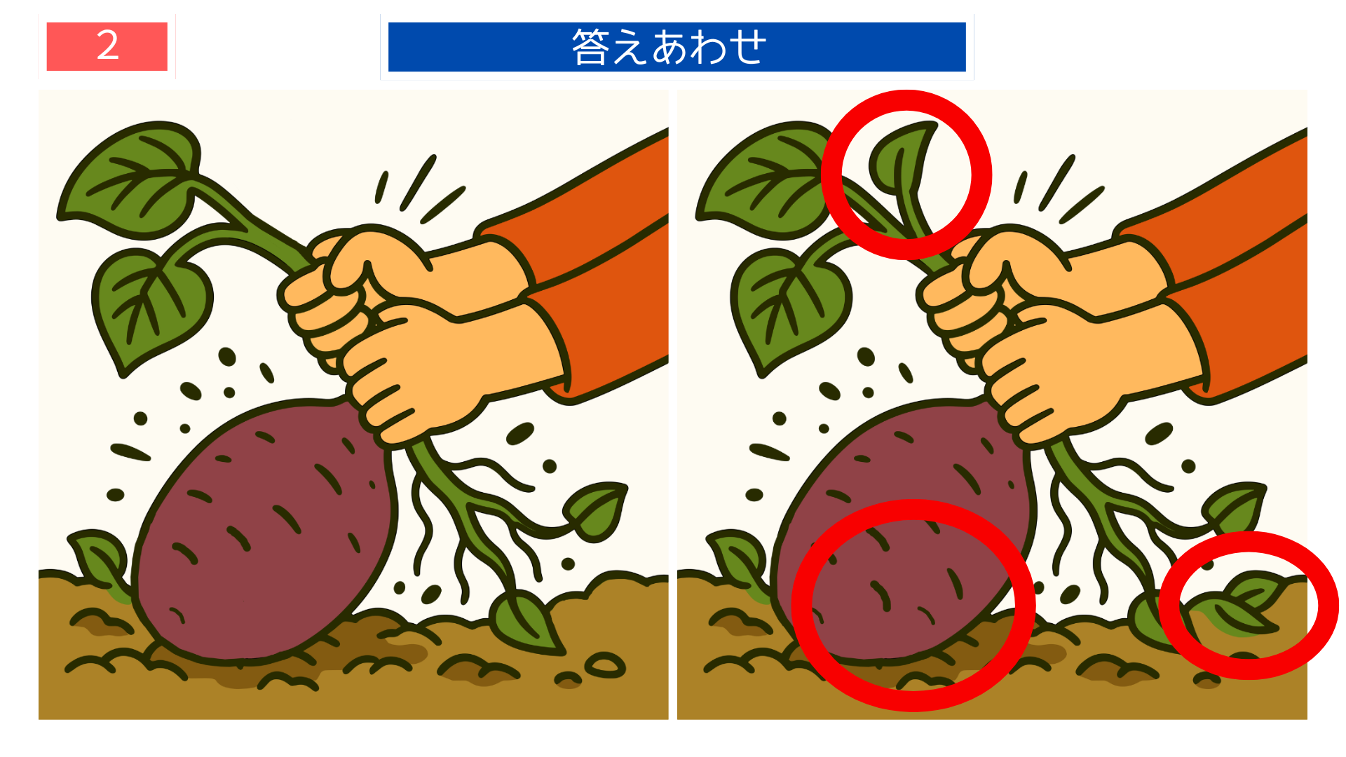 間違い探しクイズ|さつまいもを掘る手元の答えイラスト