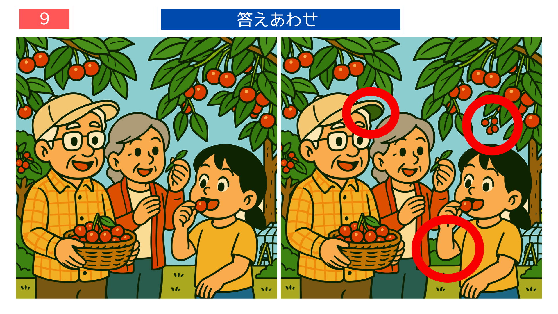 間違い探しクイズ答え|果樹園でさくらんぼを味わう家族の答えイラスト