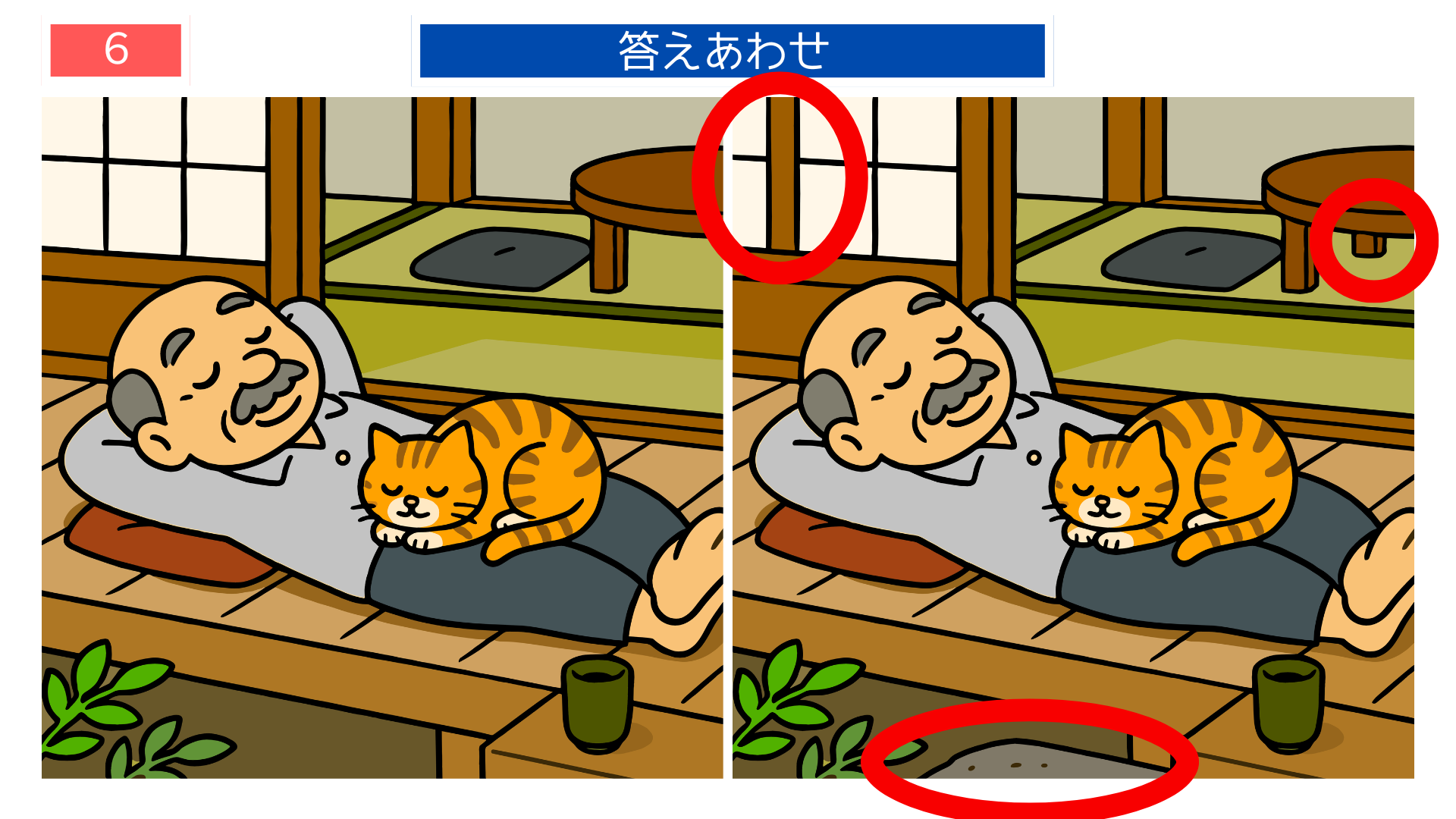 縁側で猫と昼寝するおじいさんの間違い探し答えイラスト｜障子の形が変わっている