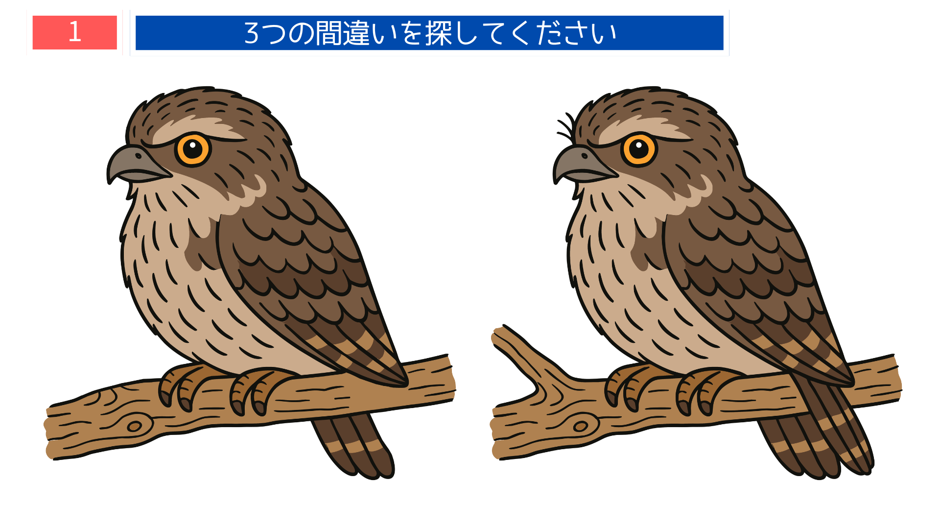 間違い探し無料プリント 『よだかの星』の世界をイメージしたフクロウのイラスト問題｜高齢者向け脳トレクイズ