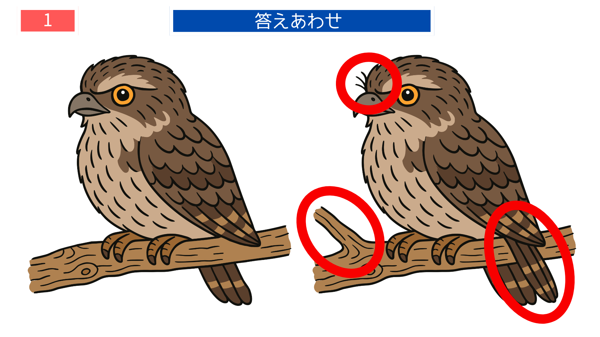 間違い探し無料印刷 『よだかの星』のフクロウの答え画像｜集中力を鍛えるレク素材