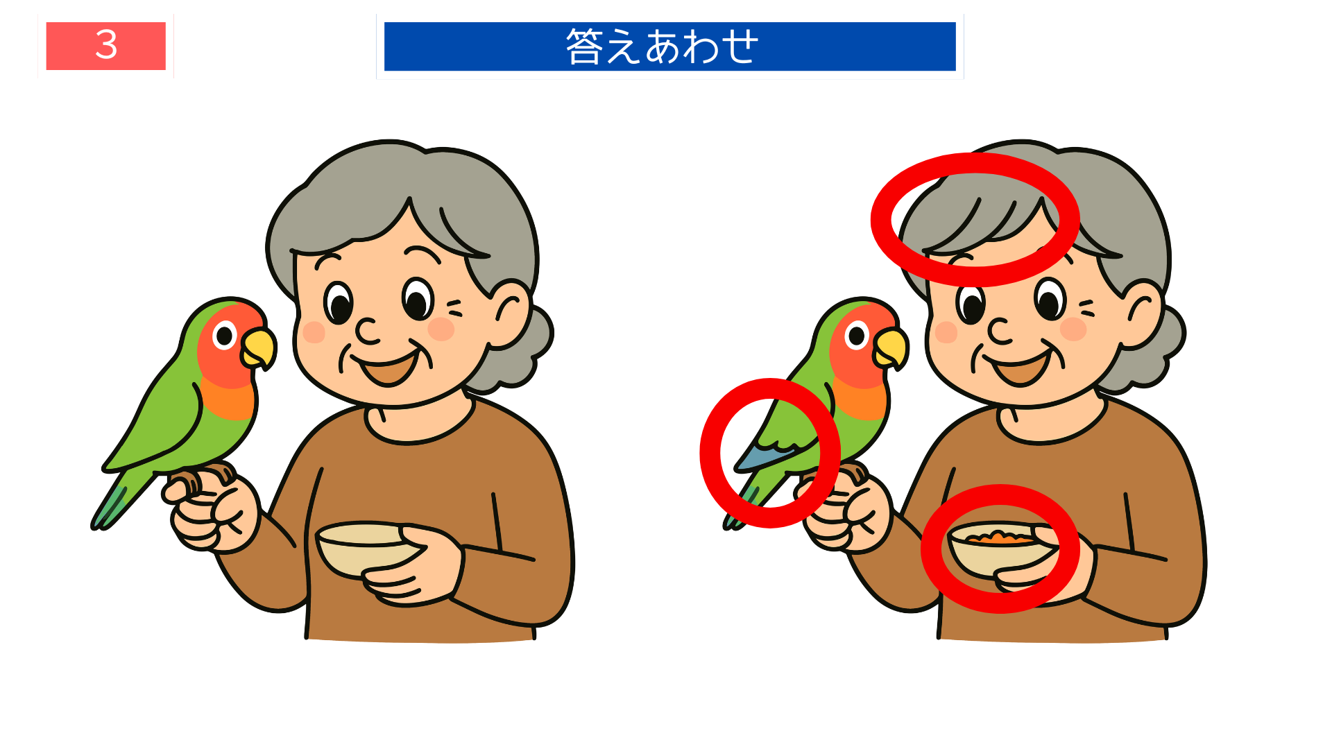 間違い探し無料プリント インコに餌をあげるおばあさんの答え画像｜レク素材として活用可能
