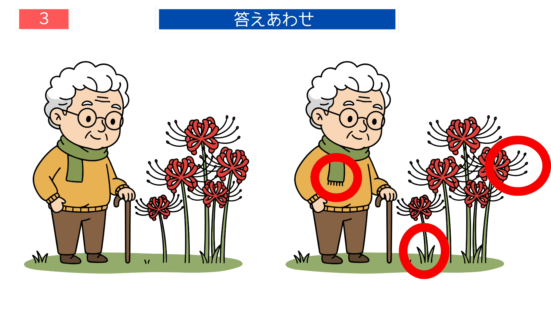 間違い探し高齢者 彼岸花の数や形の違いがわかる答え画像|印刷用レクリエーション素材