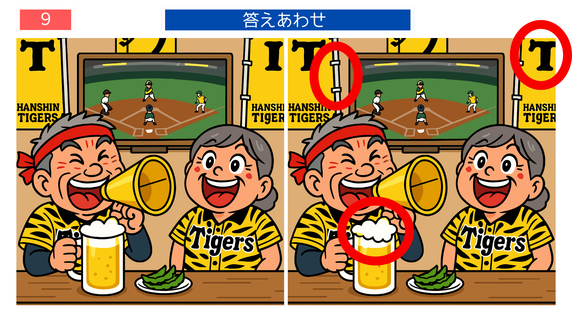 間違い探し無料簡単 野球観戦の違いがわかる答え画像 高齢者レク素材