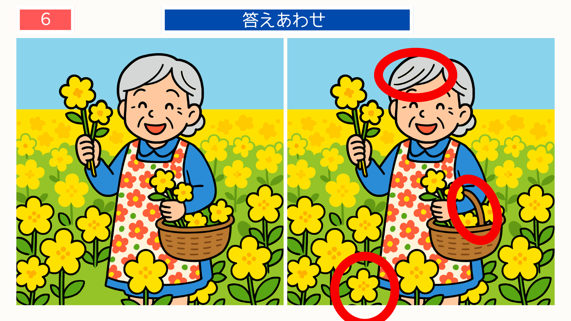 間違い探し無料印刷 菜の花畑の散策シーンの答え画像。千葉の春を楽しむレク素材。