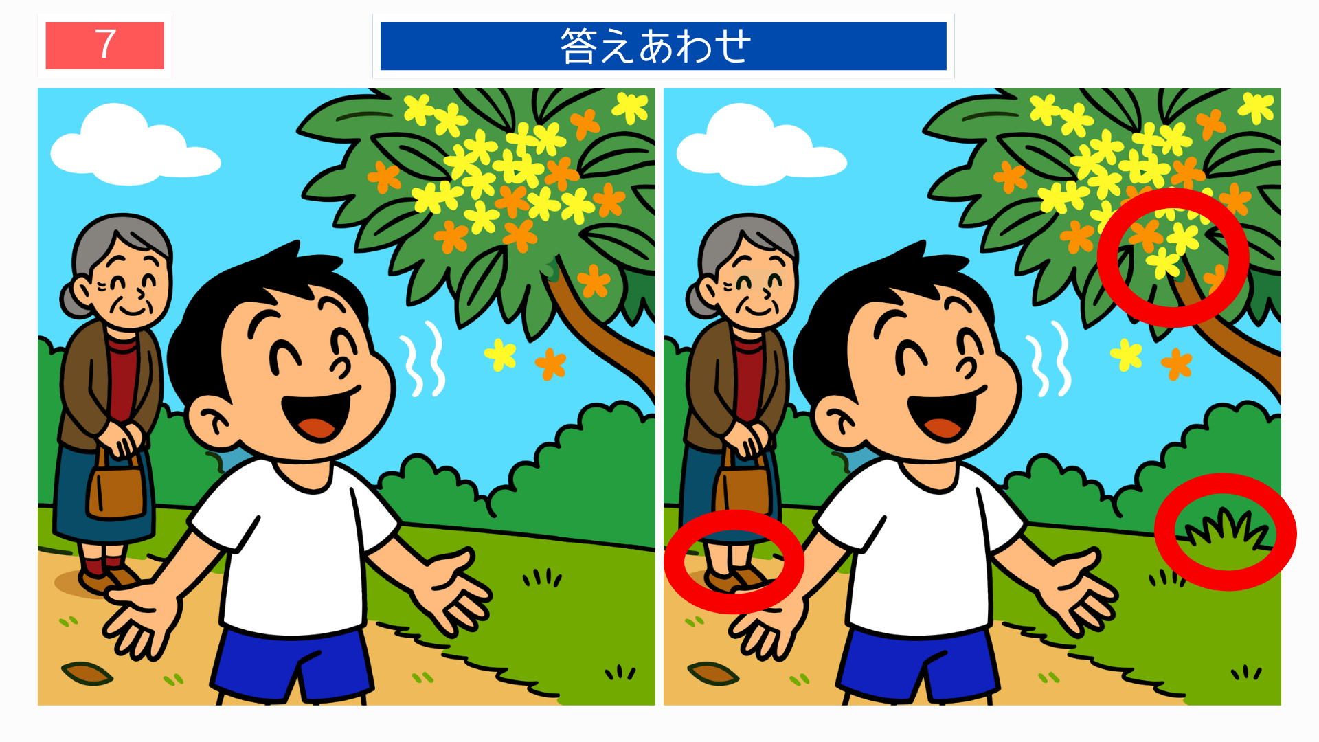 間違い探し高齢者 花と背景の違いが分かる間違い探し答え画像