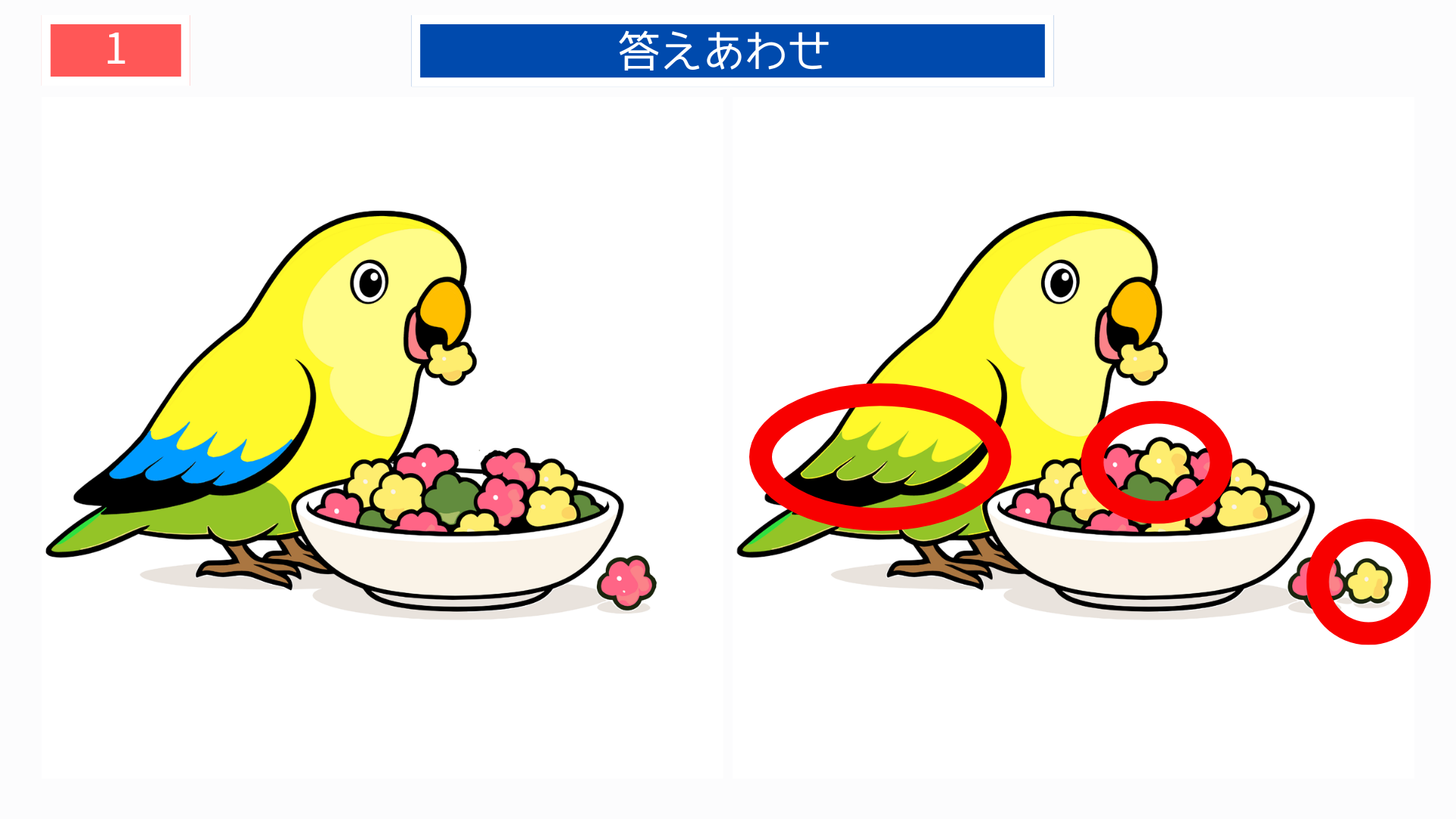 間違い探し無料印刷 インコの食事シーン間違い探しの答え画像