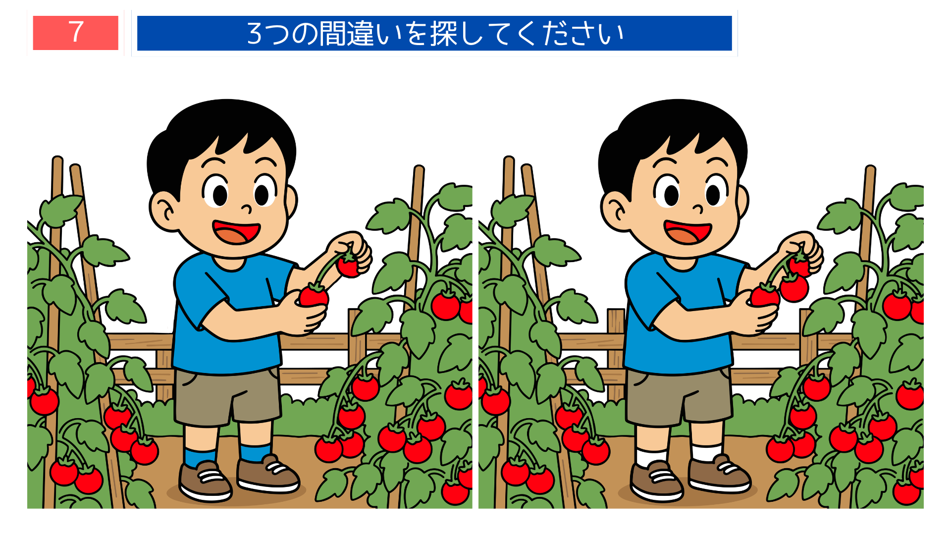 間違い探し無料プリント 秋の家庭菜園でトマトを取る男の子の問題画像