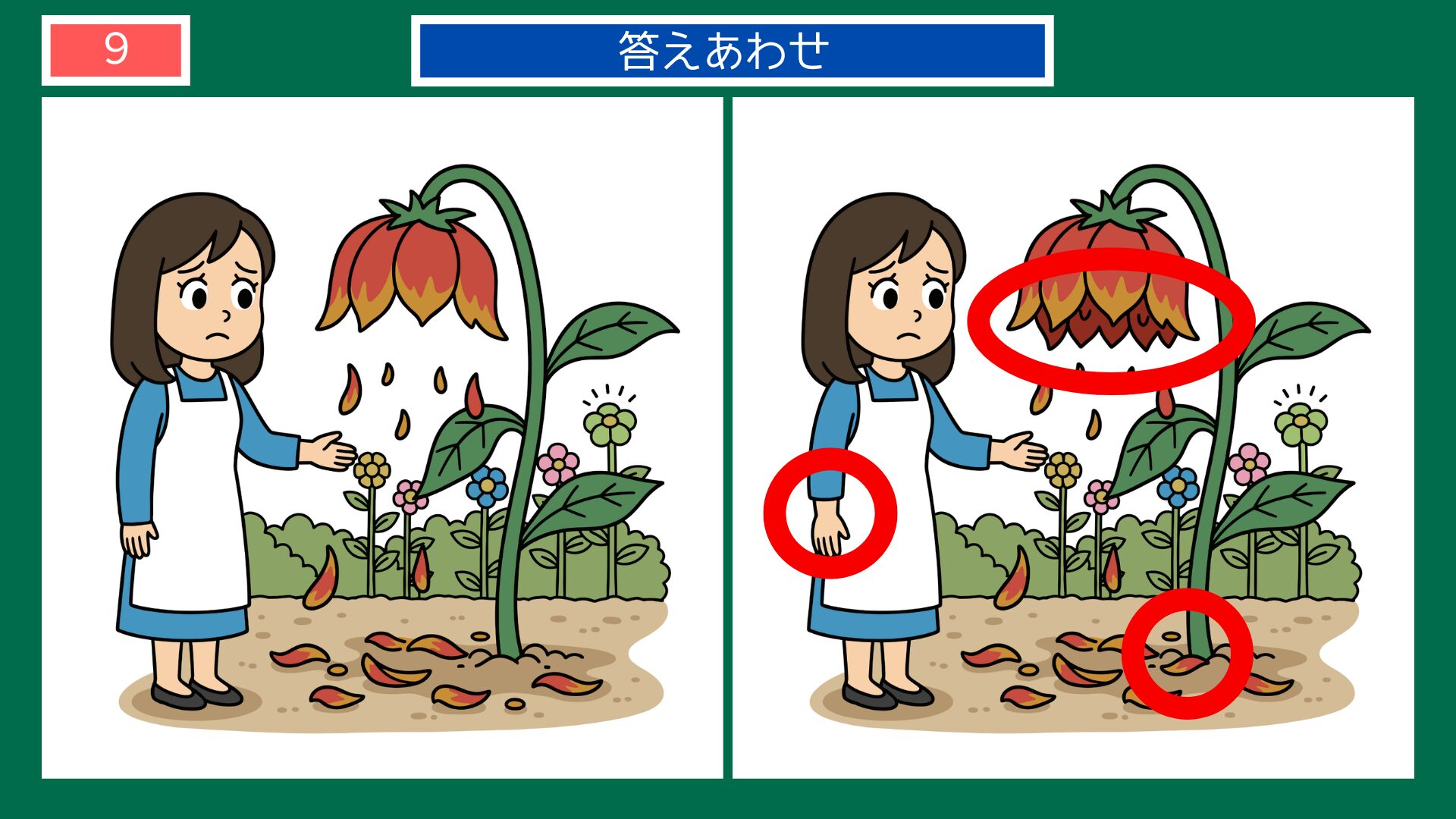 第9問答えあわせ：あだ花は咲きやすいの間違い探し解答