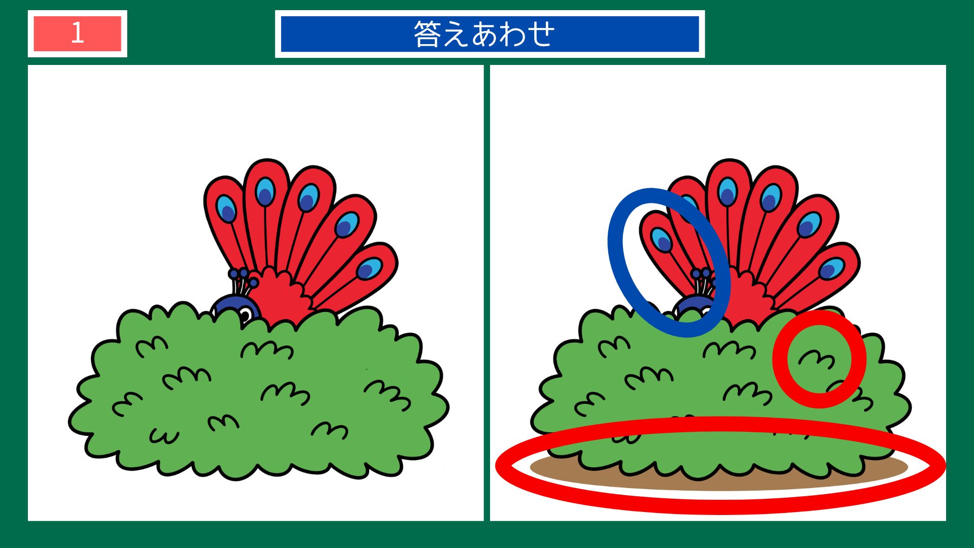 第1問答えあわせ：頭隠して尻隠さずの間違い探し解答