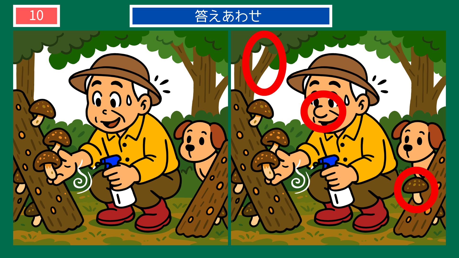 大分県の間違い探し 第10問 しいたけ狩りの答え