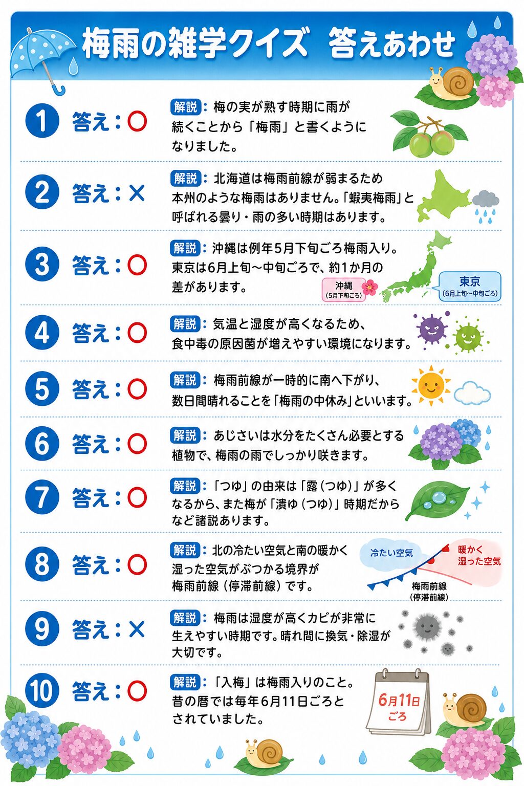 梅雨の雑学クイズ 答えシート カラー版