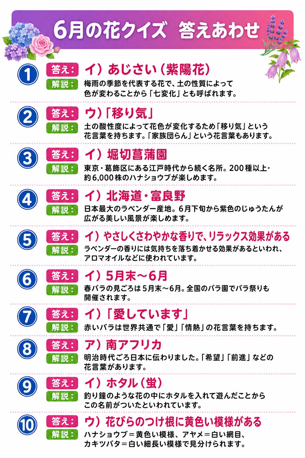 6月の花クイズ 答えシート カラー版