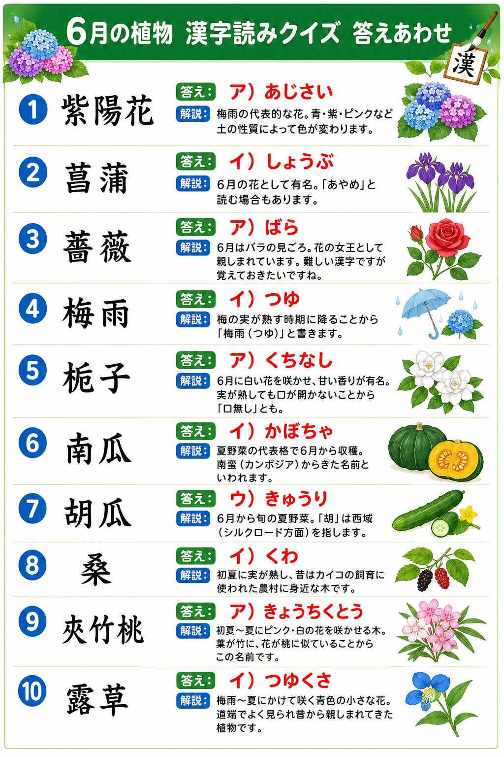 6月の植物漢字読みクイズ 答えシート カラー版