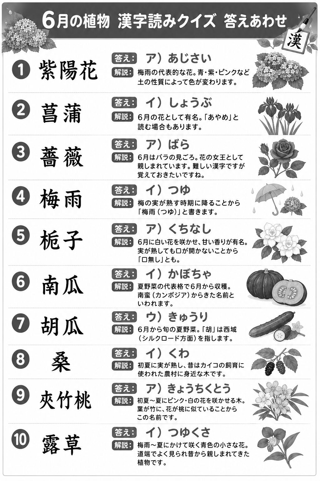 6月の植物漢字読みクイズ 答えシート 白黒版