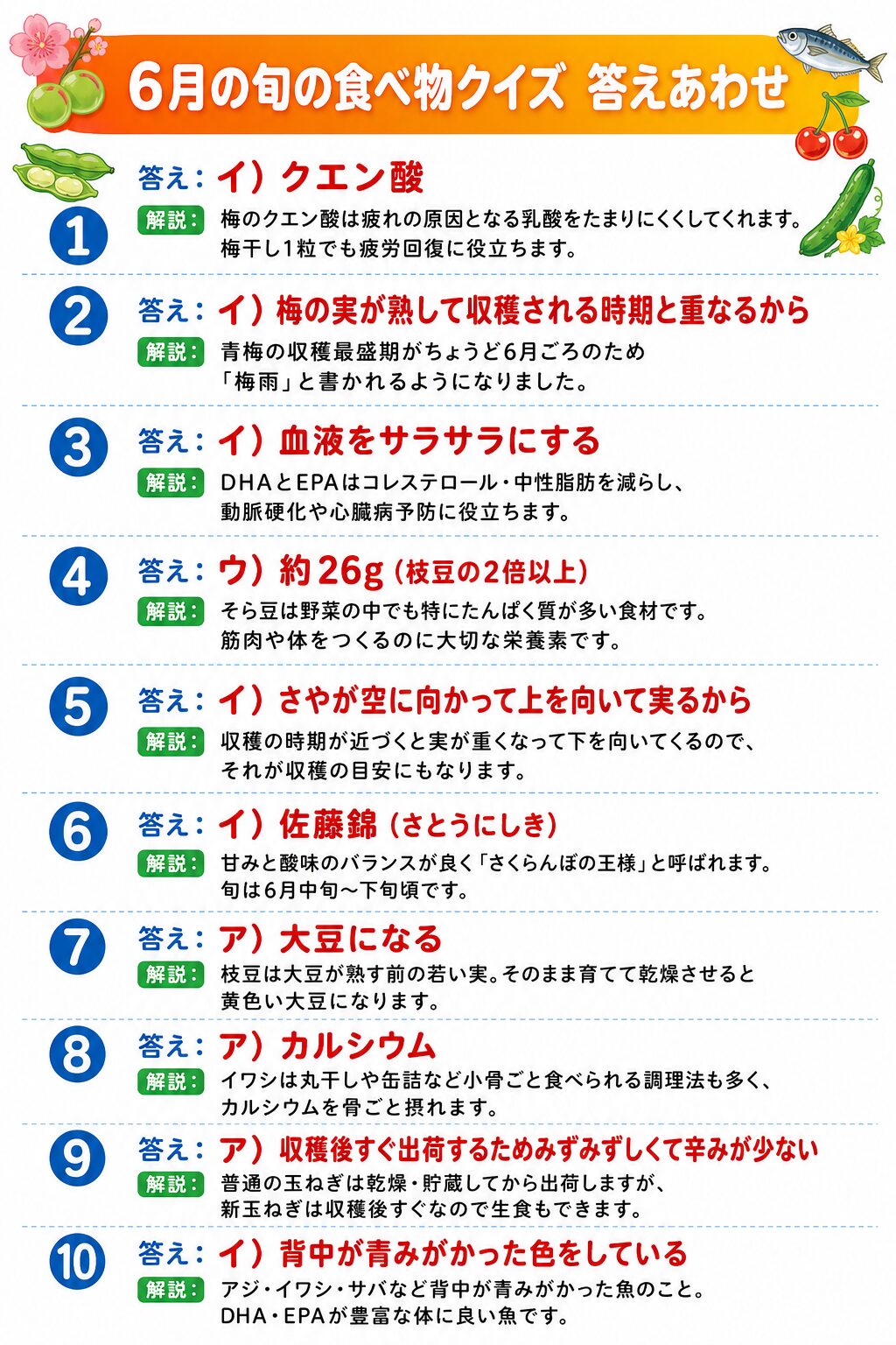6月の旬の食べ物クイズ 答えシート カラー版