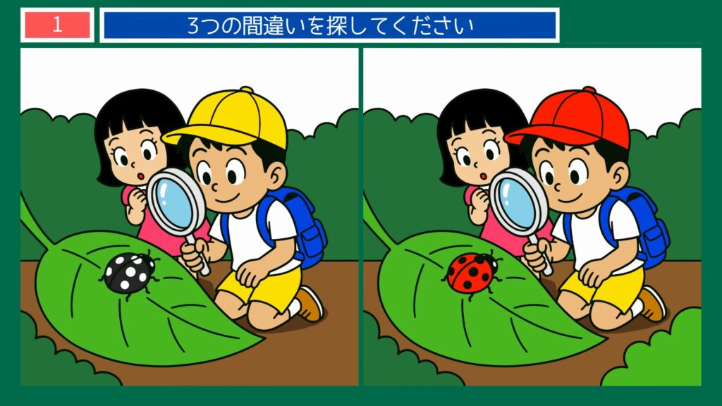 生きもの・動物の間違い探し 第1問 てんとう虫の観察の問題イラスト