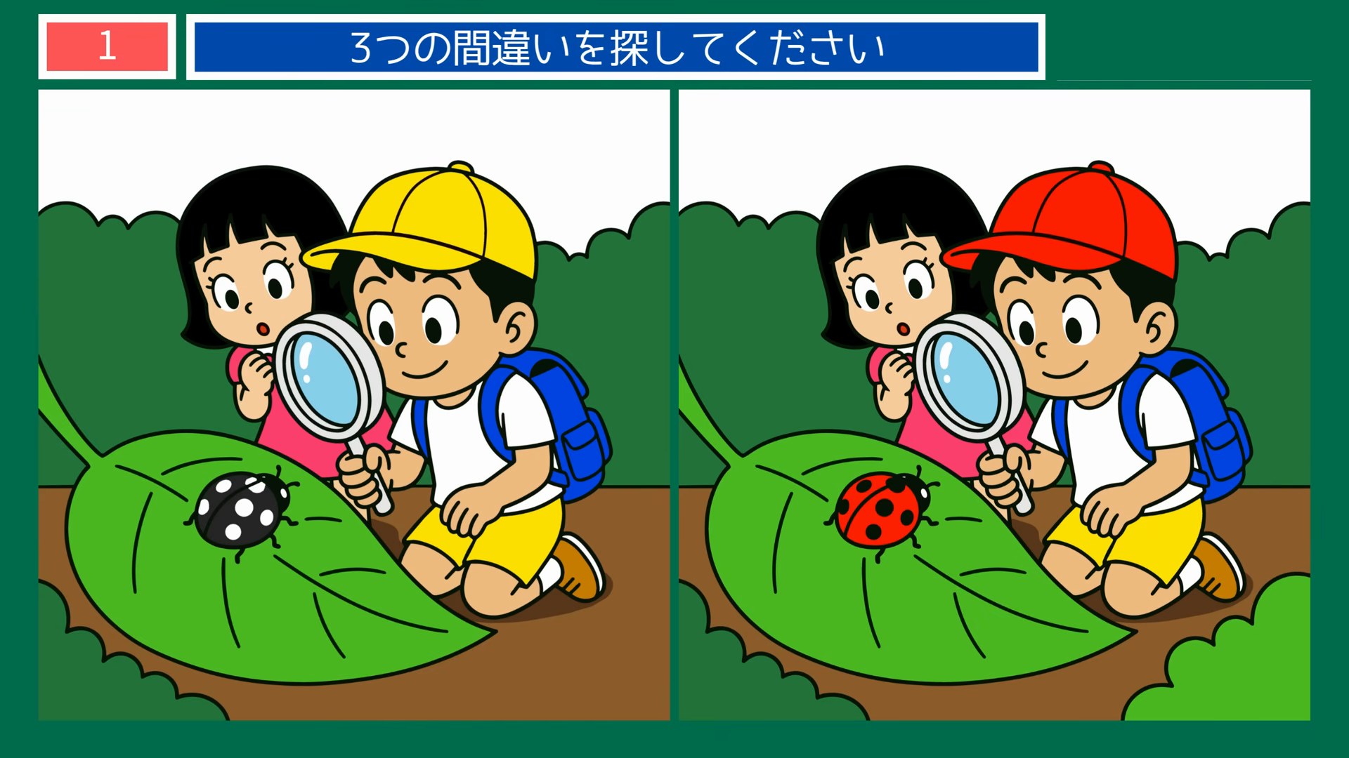 生きもの・動物の間違い探し 第1問 てんとう虫の観察の問題イラスト
