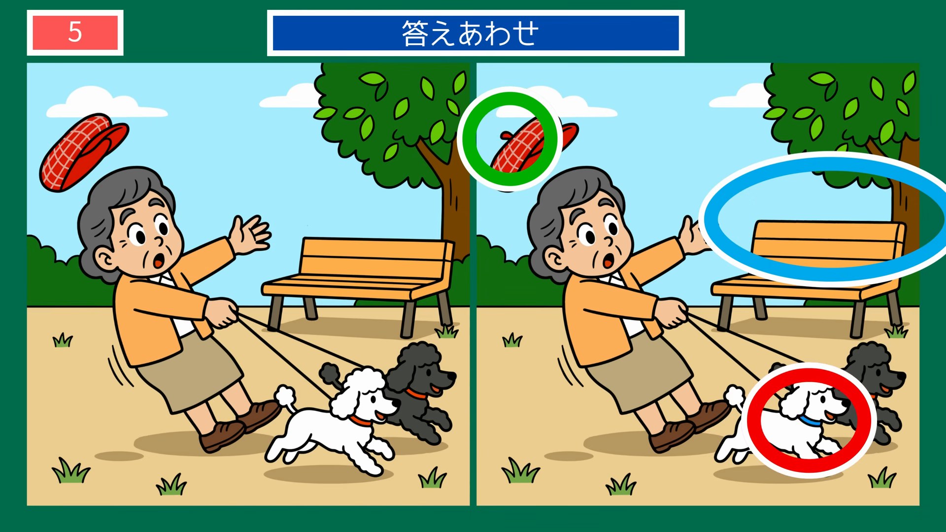 生きもの・動物の間違い探し 第5問 プードルのお散歩の答え
