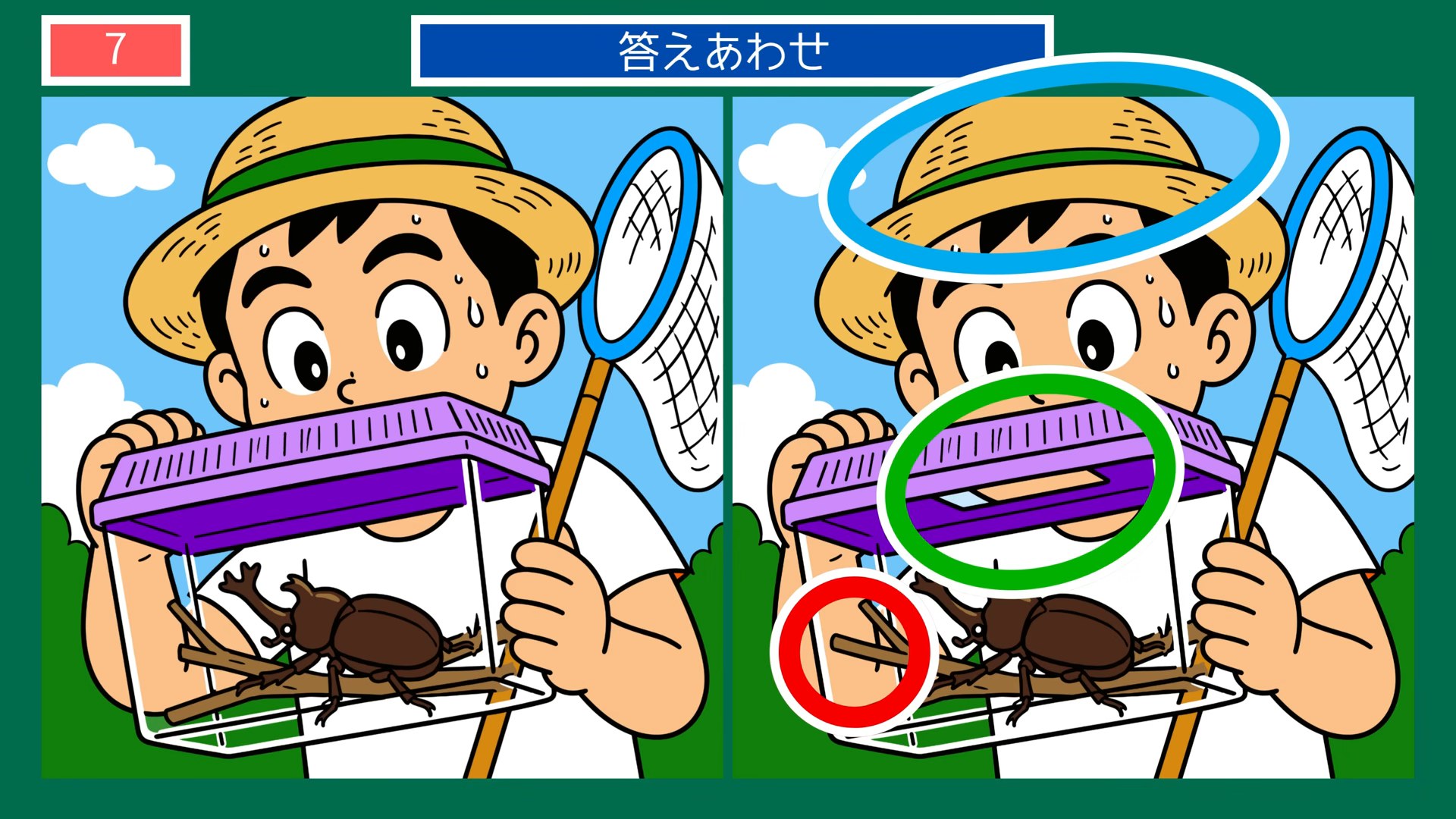 夏の暮らしの間違い探し 第7問 かぶと虫捕りの答え
