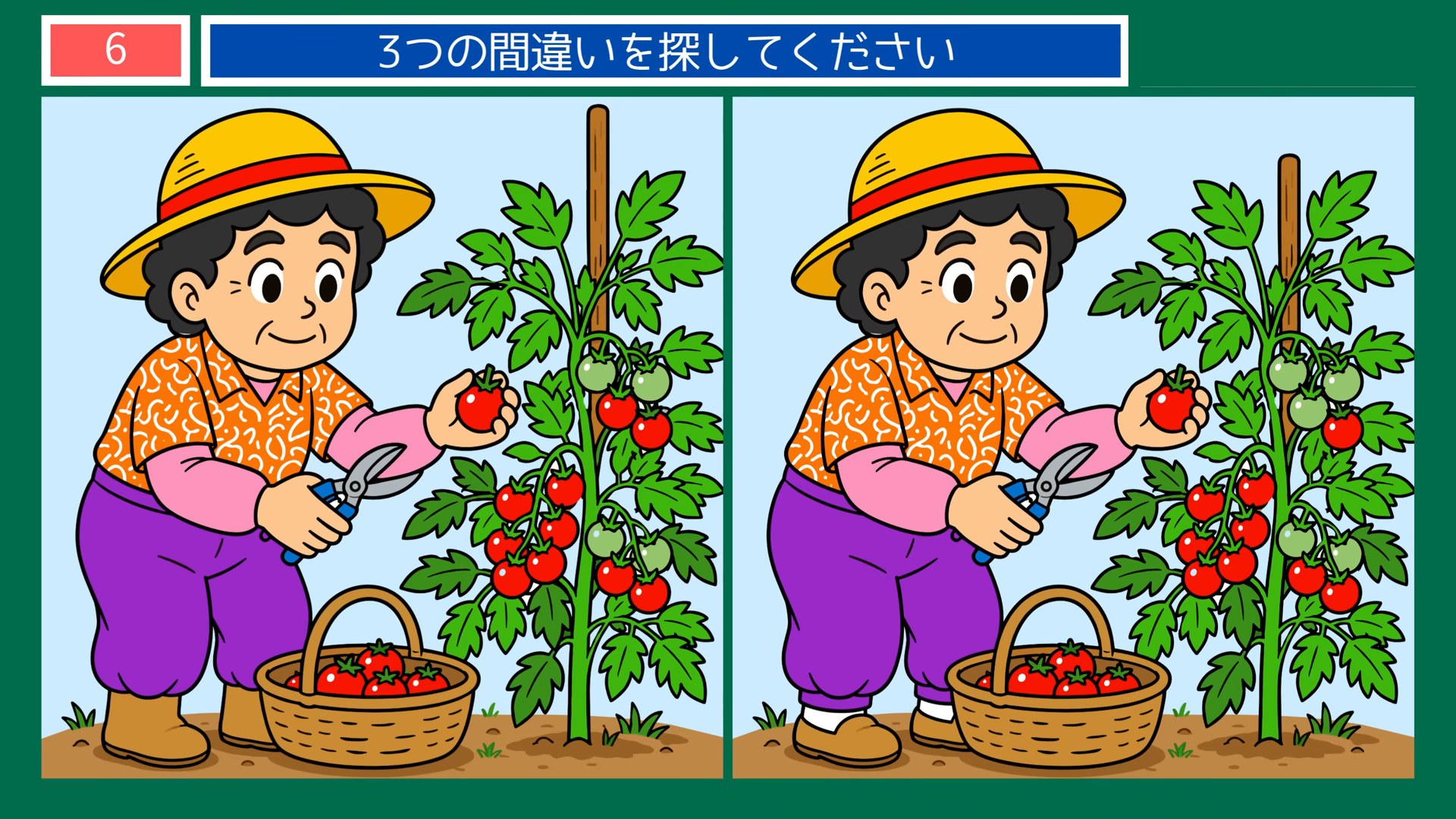 夏の風物詩の間違い探し 第6問 ミニトマトの収穫の問題イラスト