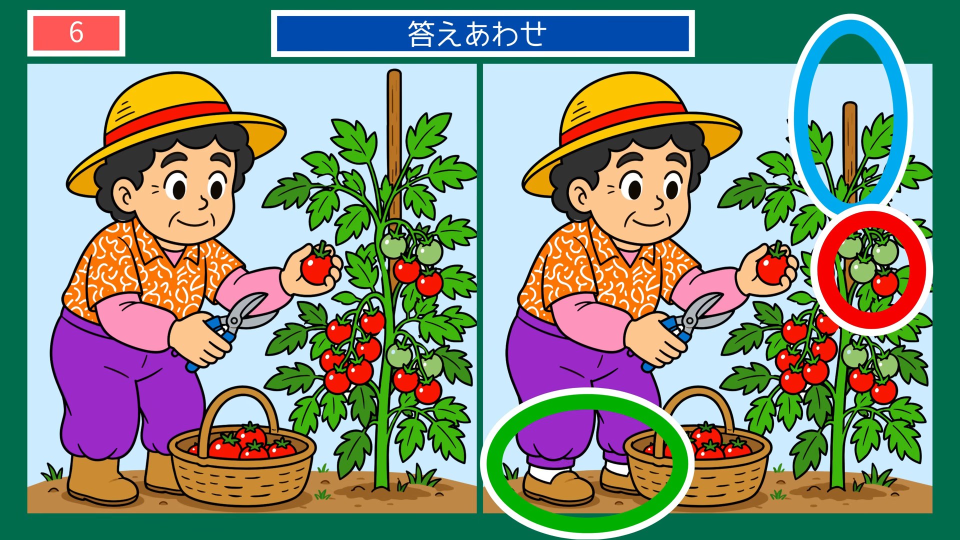 夏の風物詩の間違い探し 第6問 ミニトマトの収穫の答え
