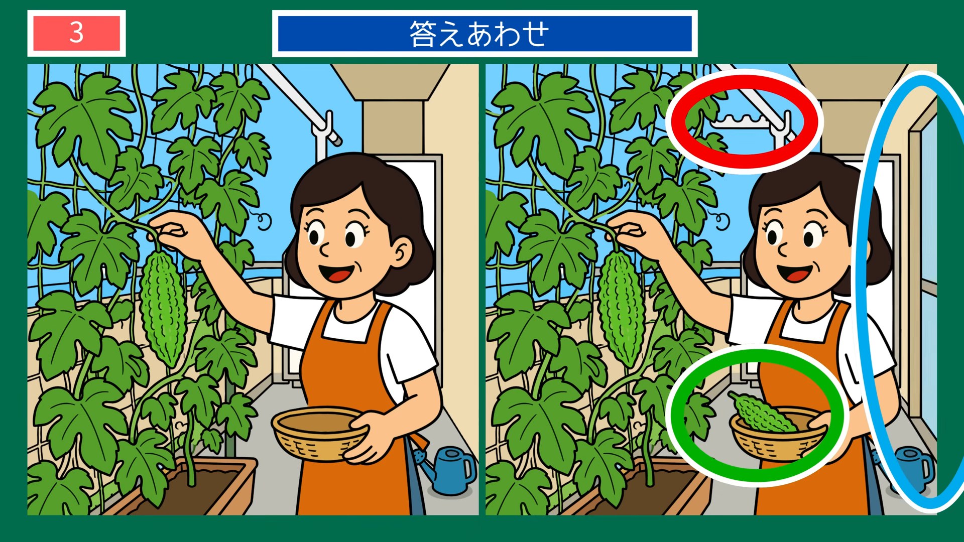 くらしの間違い探し 第3問 ゴーヤーの収穫の答え