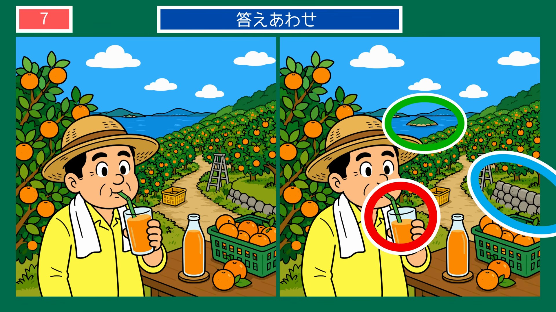 四国4県めぐりの間違い探し 第7問 愛媛のみかん狩りの答え