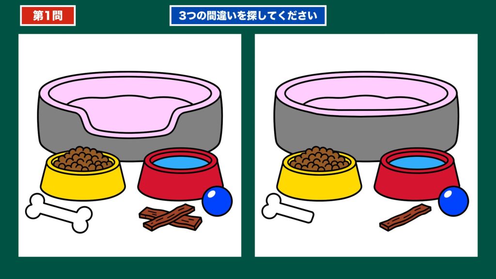どうぶつとペットの間違い探し 第1問 ペットの道具の問題イラスト