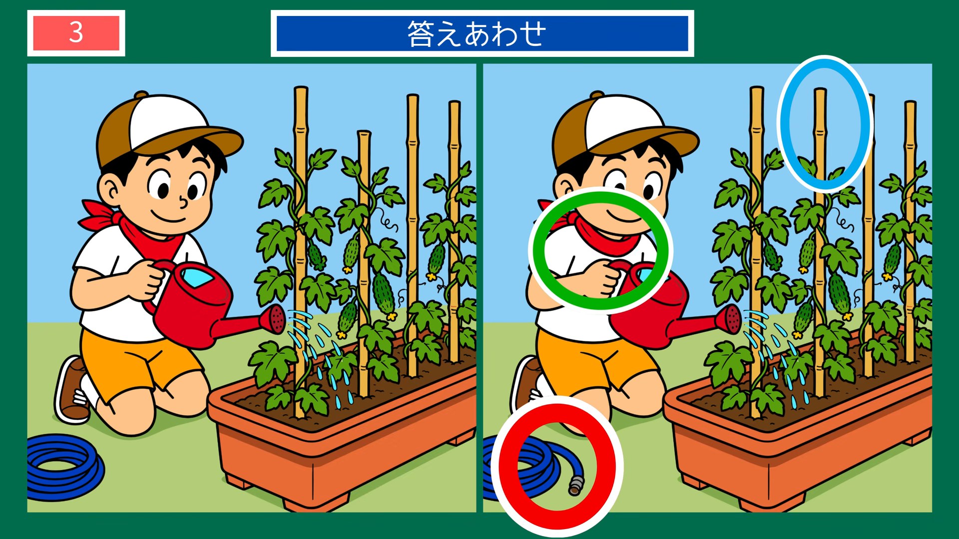ふだんの一日の間違い探し 第2問 家庭菜園の水やりの答え