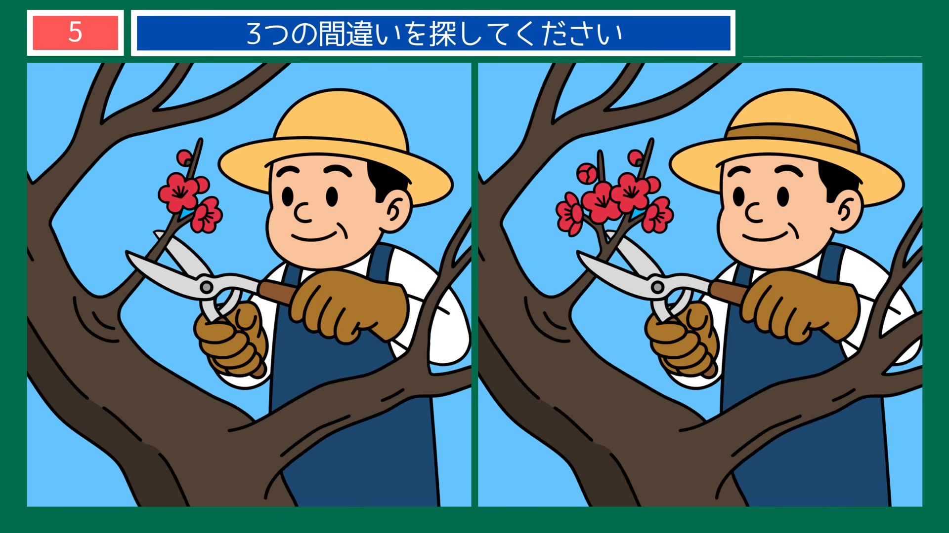 茨城県の間違い探し 第5問 梅の手入れの問題イラスト