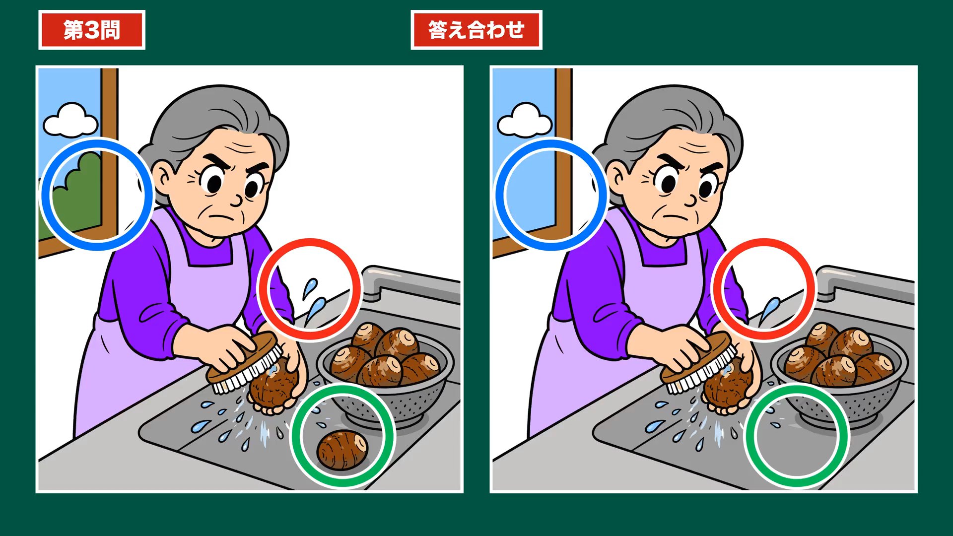 家事とだんらんの間違い探し 第3問 里芋を洗うの答え