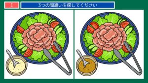 くらしのいろいろの間違い探し 第1問 焼肉の盛りつけの問題イラスト