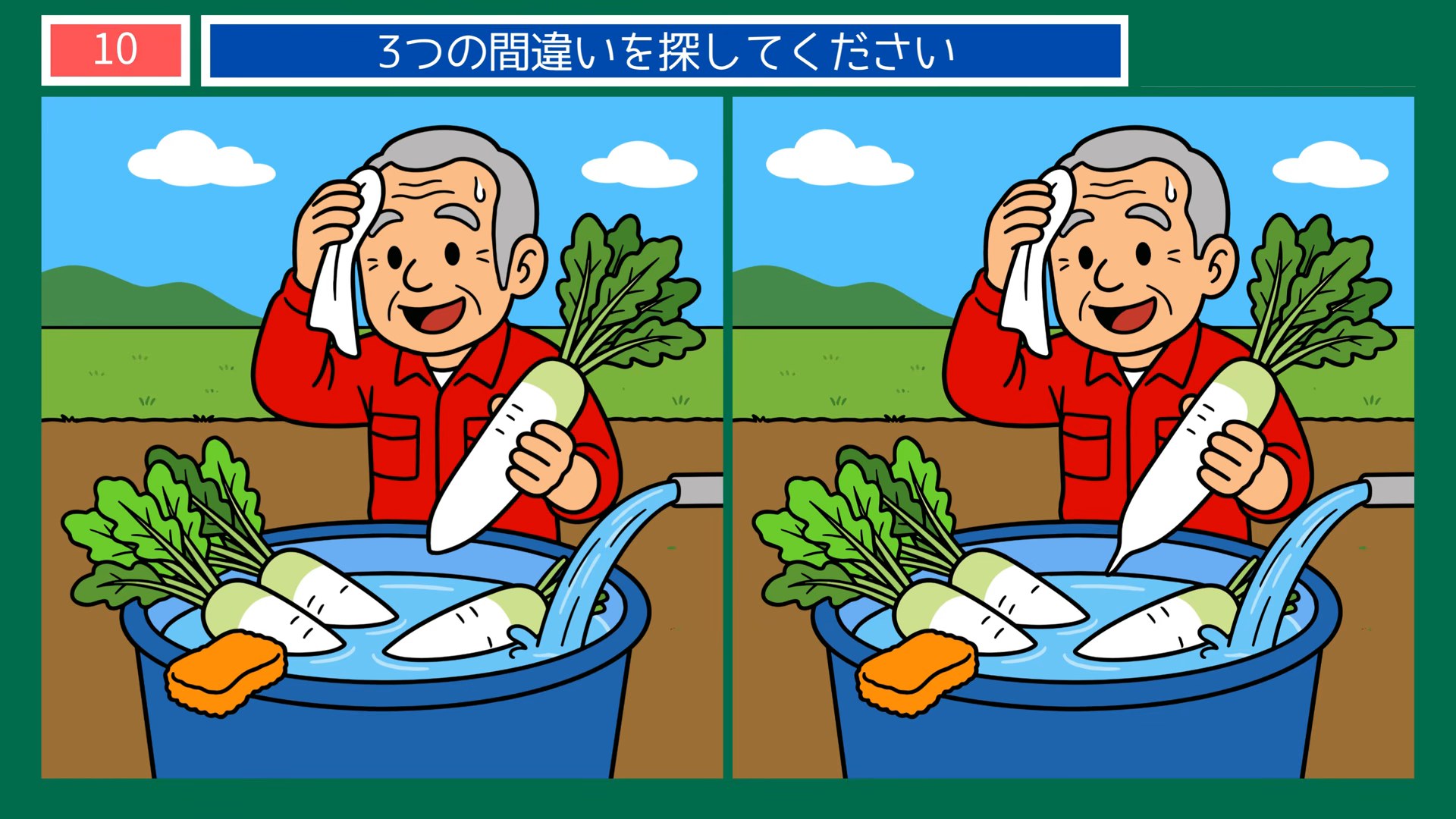 暮らしの手しごとの間違い探し 第10問 大根を洗うの問題イラスト