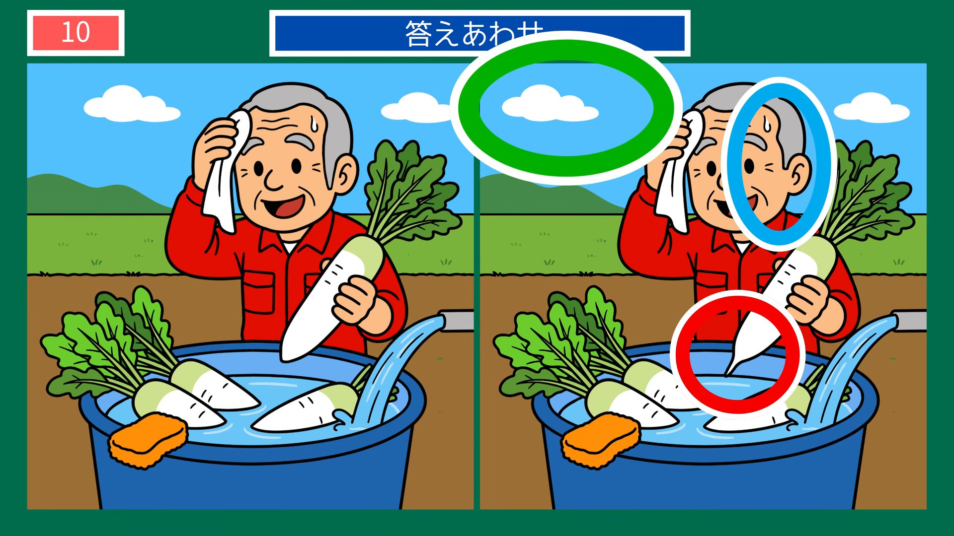 暮らしの手しごとの間違い探し 第10問 大根を洗うの答え