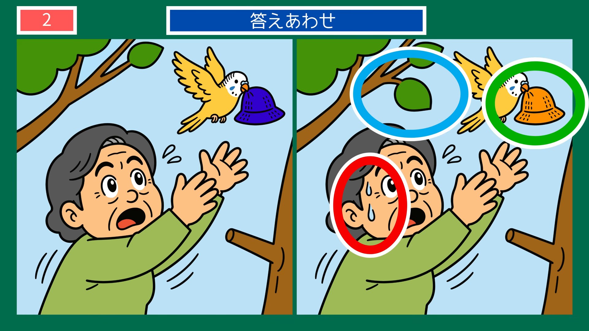 まちの一日の間違い探し 第2問 小鳥と帽子の答え