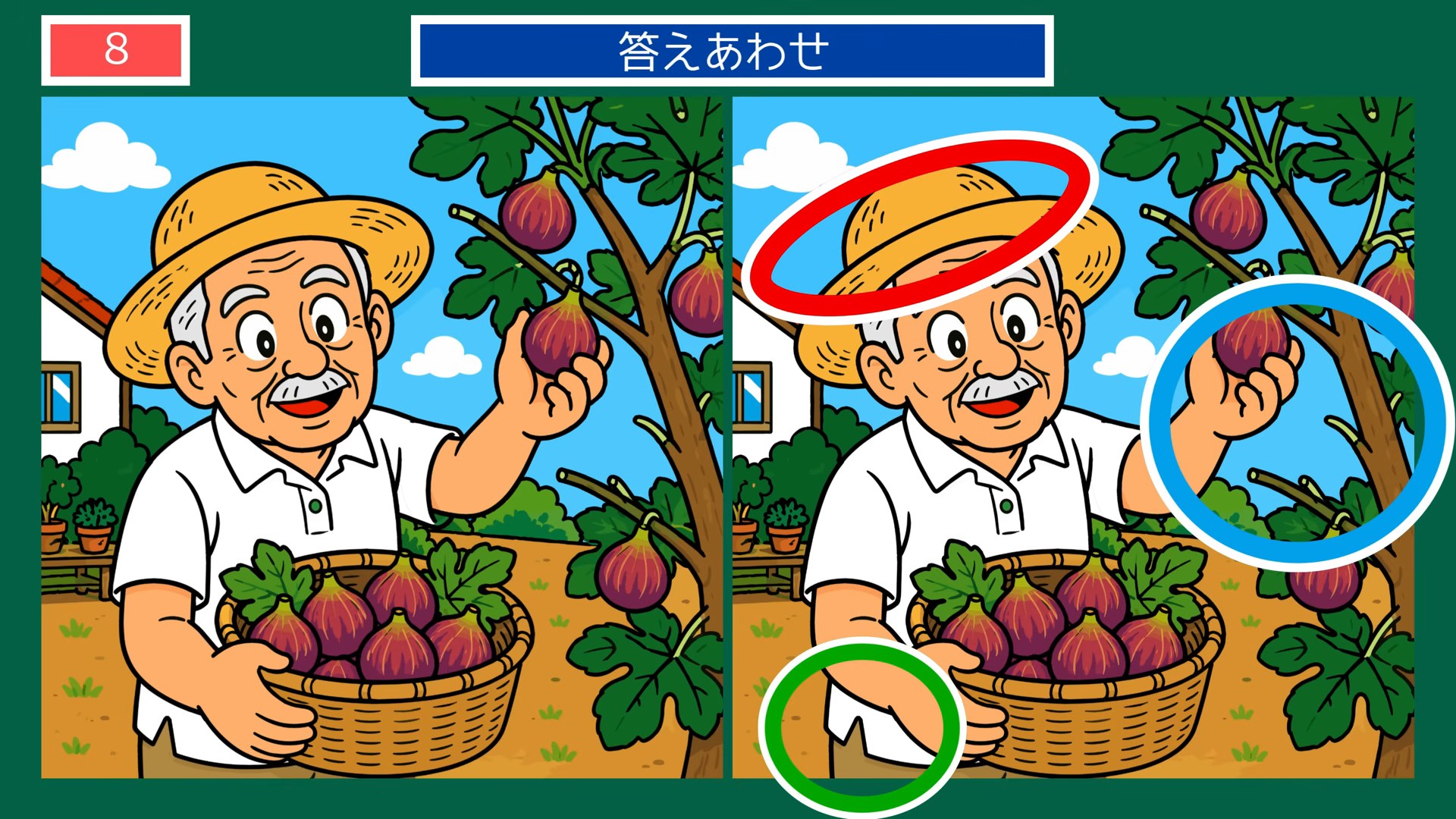 夏から秋の暮らしの間違い探し 第8問 いちじくの収穫の答え